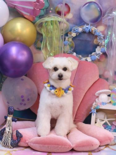 20240824うみちゃん